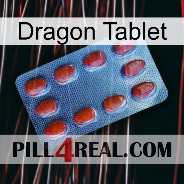 Dragon Tablet 06.jpg